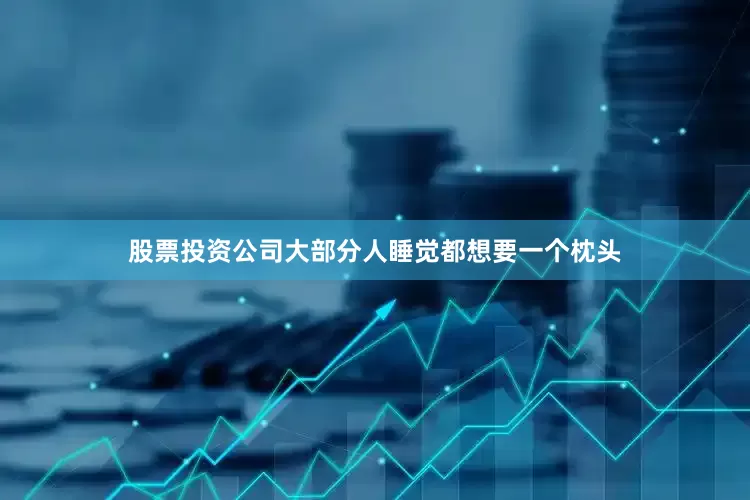 股票投资公司大部分人睡觉都想要一个枕头