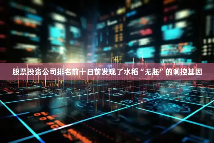 股票投资公司排名前十日前发现了水稻“无胚”的调控基因
